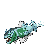 Basculegion · Female