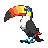Toucannon